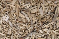 biomass boilers Mainstone